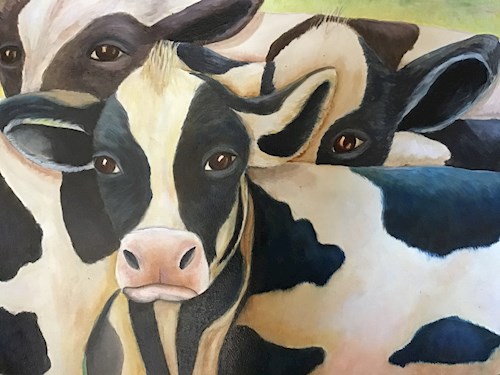 Painting of a group of black and white cows with one cow in the middle staring directly at the viewer