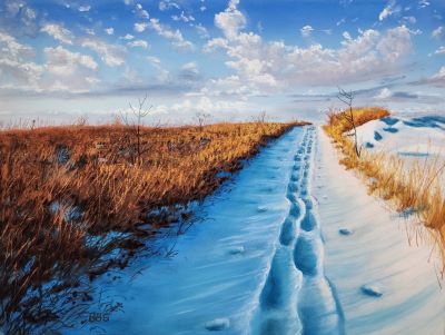 1.	A snow-covered path through a field with deep footprints and ski tracks. Dry grass and shrubs line the left side; snow dominates the right. Bright blue sky with fluffy clouds overhead.