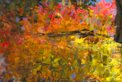 Abstract reflection of autumn foliage on rippling water, with reds, oranges, yellows, and greens forming a mosaic-like pattern.